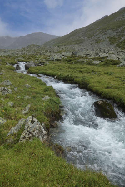 Slow Walk für den Erhalt des Platzertals